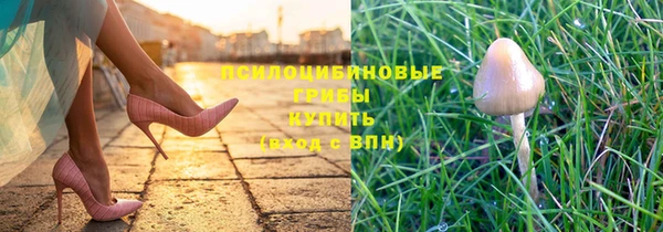 прущие крисы Абдулино
