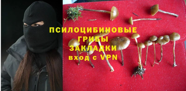 бошки Абинск