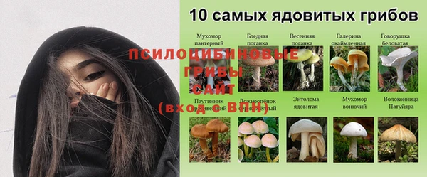 прущие крисы Абдулино
